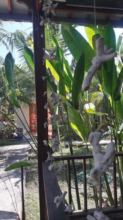 Yoland Guesthouse Gili Air Exterior photo